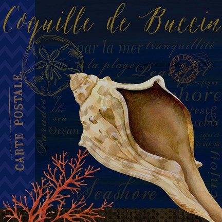 Framed Coastal Blue III Print