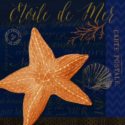 Framed Coastal Blue IV Print