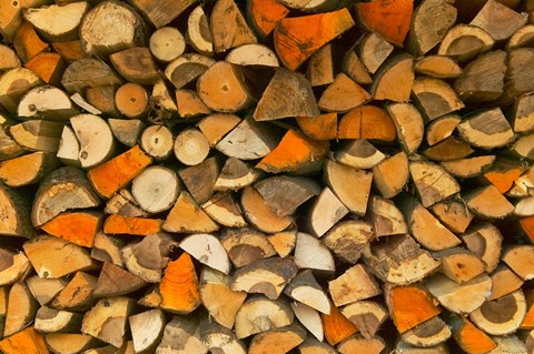 Framed Stacked Firewood, Lithuania Print