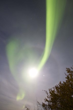 Framed Aurora Borealis and Venus by Lake Laberge, Yukon, Canada Print