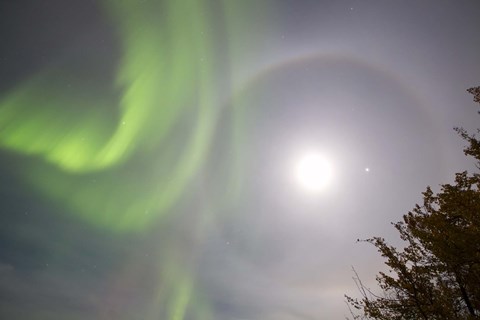 Framed Aurora borealis, Full Moon, Halo and Venus by Lake Laberge, Yukon, Canada Print