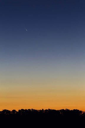 Framed Comet Panstarrs at twilight,  Buenos Aires, Argentina Print