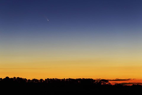 Framed Comet Panstarrs I Print