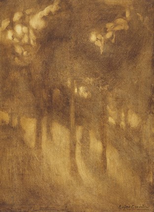 Framed Among The Trees Print