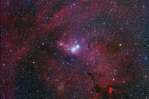 Framed NGC 2264, The Cone Nebula Region Print