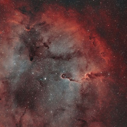 Framed IC 1396, The Elephant Trunk Nebula Print