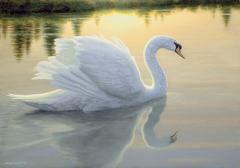 Framed Quiet Waters Print