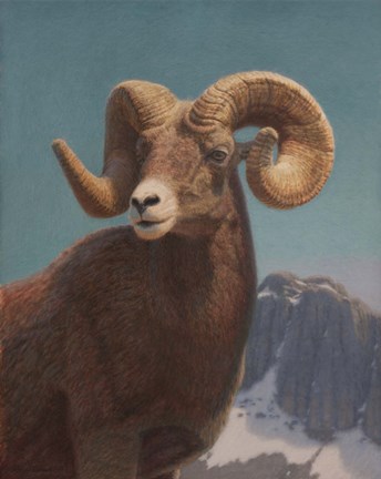 Framed High In The Rockies Print