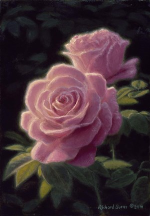 Framed Sunset Glow Print