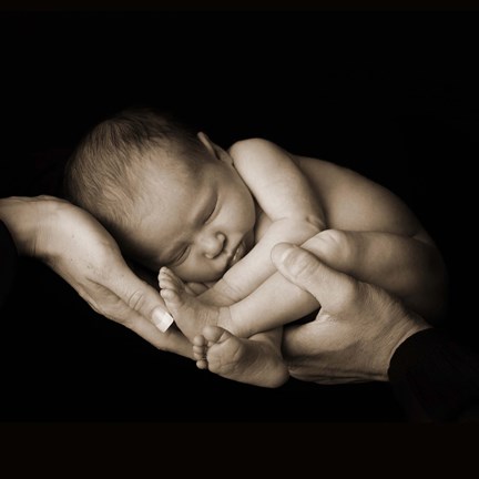 Framed Baby Curled In Hands Print