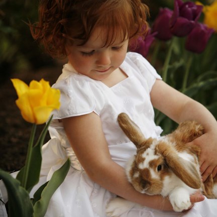 Framed Little Girl And Bunny Print