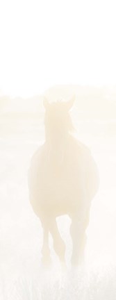 Framed Spirit Series IV Print