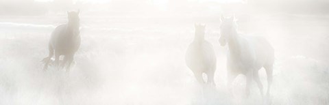 Framed Spirit Series III Print