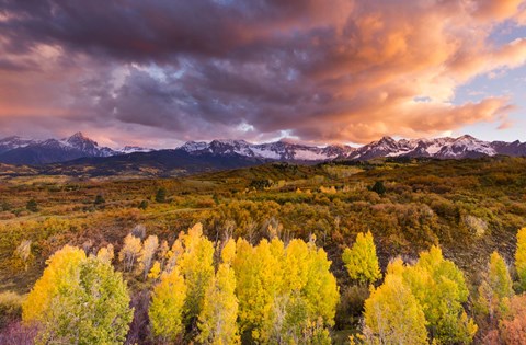 Framed Epic Fall Print