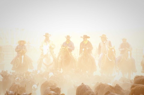 Framed Pushing the Herd Print