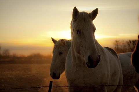 Framed Brisk Morning Print