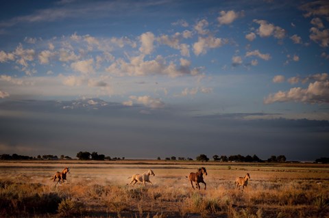 Framed Open Spaces Print