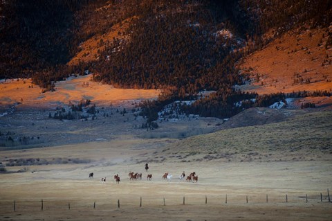 Framed Rusher Ranch Print