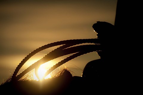 Framed Starting the Day Print