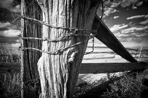 Framed Holding Strong Print