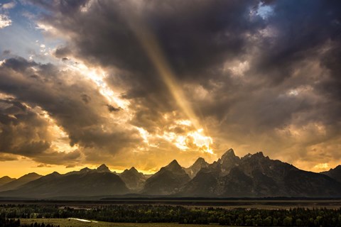 Framed Power Of Beauty Print