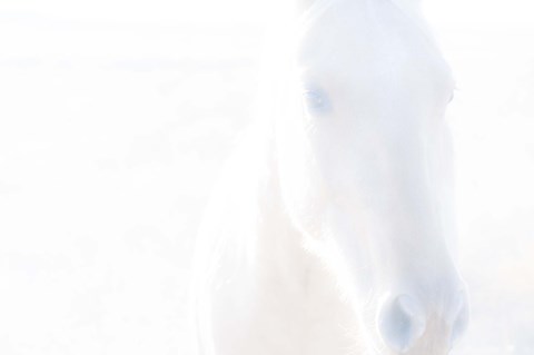 Framed Spirit Series I Print