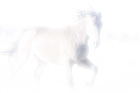 Framed Spirit Series V Print