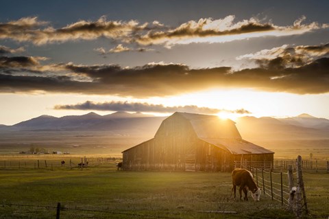Framed Wet Mountain Barn I Print