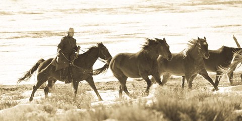 Framed Still Wild Print