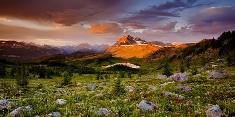 Framed Emerging Glory Print