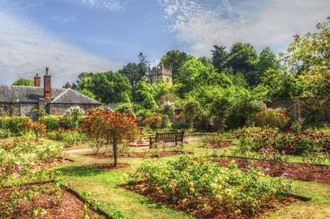 Framed Garden 2 Print