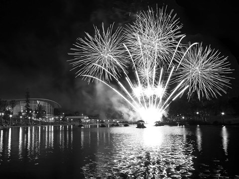 Framed Australia Day 2011 Print
