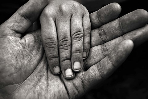 Framed Generations Print