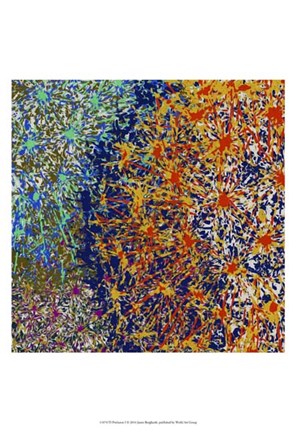 Framed Profusion I Print