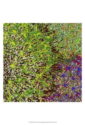 Framed Profusion II Print