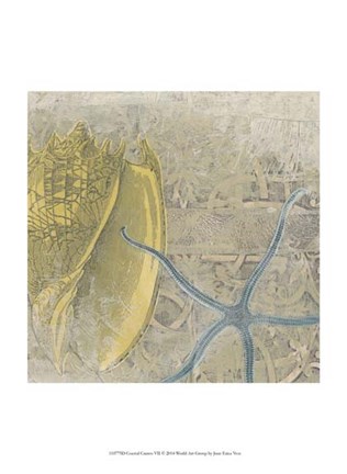 Framed Coastal Cameo VII Print