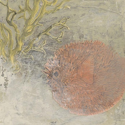 Framed Coastal Cameo VIII Print