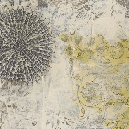 Framed Coastal Cameo IX Print