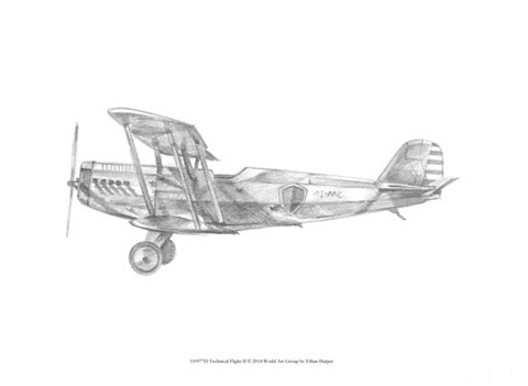 Framed Technical Flight II Print