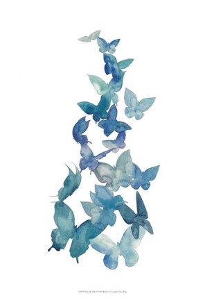 Framed Butterfly Falls II Print