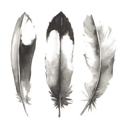 Framed Watercolor Feathers II Print