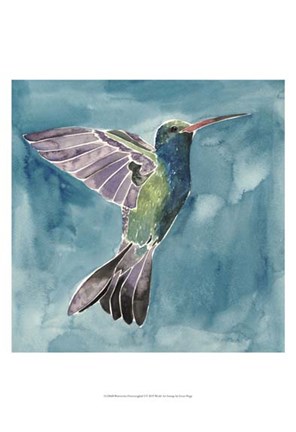 Framed Watercolor Hummingbird I Print