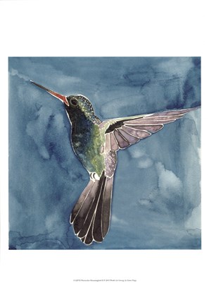 Framed Watercolor Hummingbird II Print