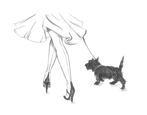 Framed Perfect Companion IV Print