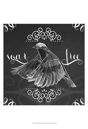 Framed Chalkboard Bird II Print