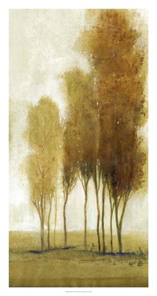 Framed Balance II Print