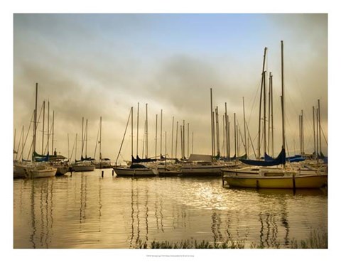 Framed Morning Fog Print