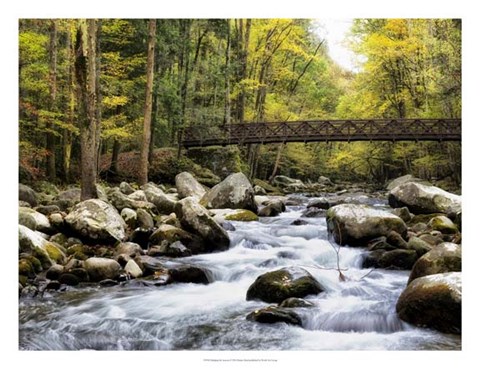 Framed Bridging the Seasons Print