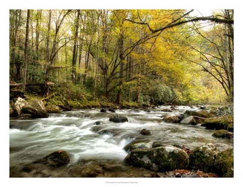 Framed Creekside Print