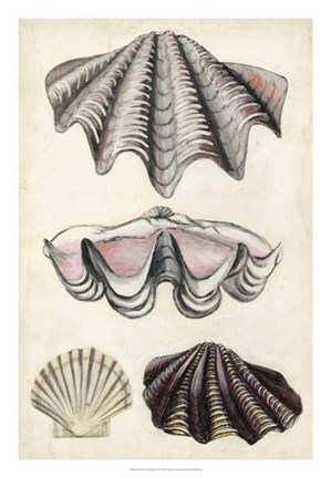 Framed Seashore Field Notes IV Print